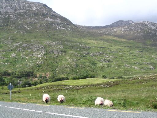 Connemara